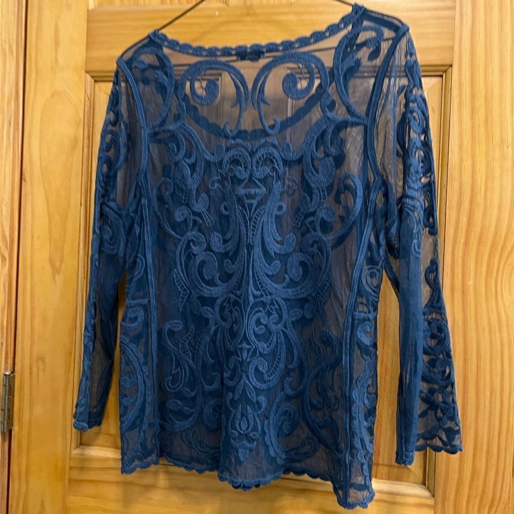 Express size Med. blue sheer embroidered blouse - Picture 5 of 6